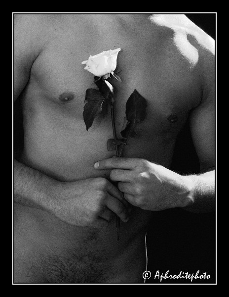 303 Dites le avec une rose